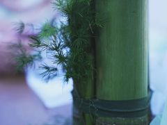 -汉艺唐风茶艺培训(联发华美空间店)