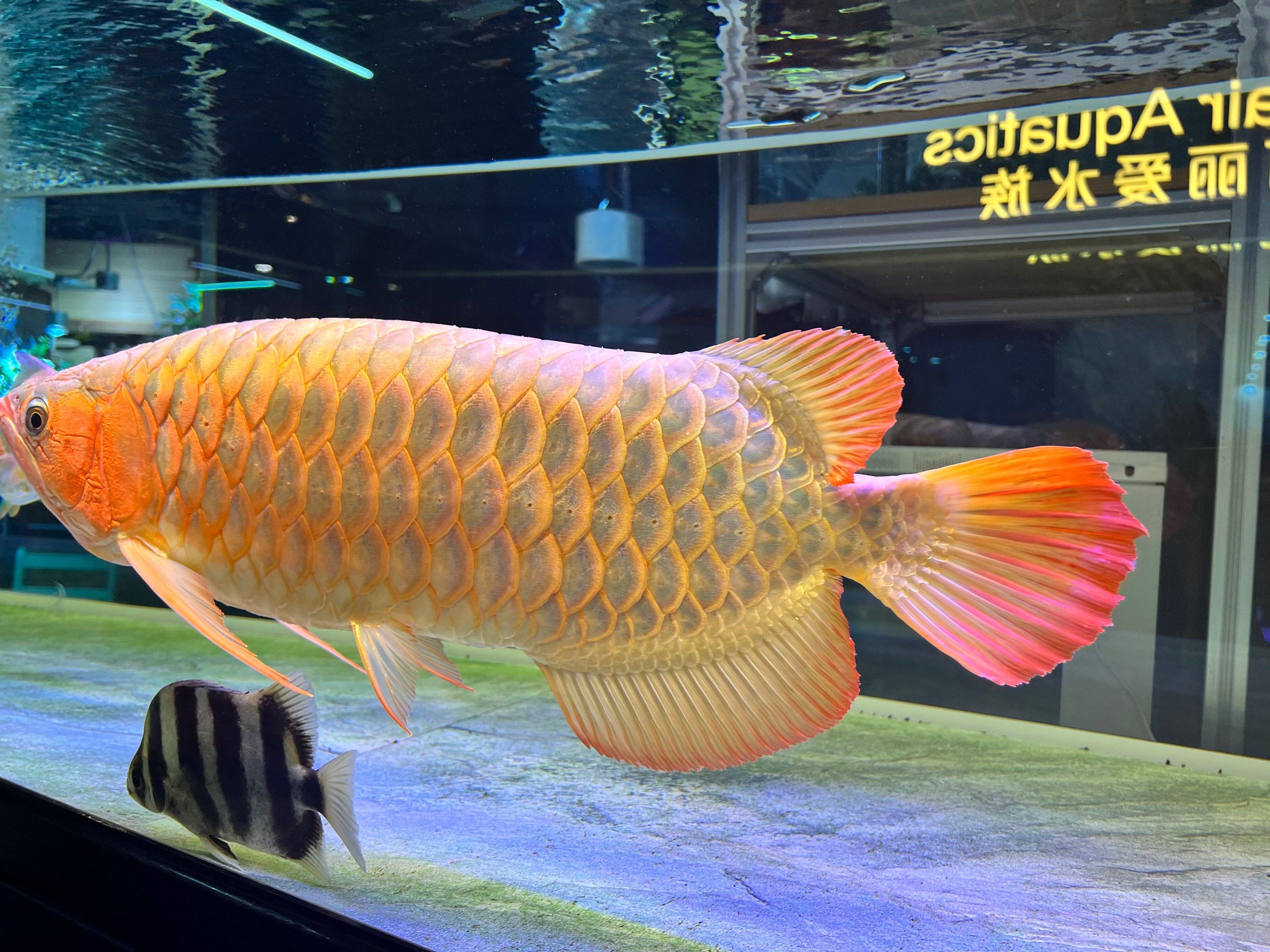 看我干啥?哼💢!