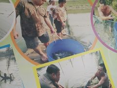 -鸿渡渔庄·特色鸭咀鱼