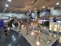 -国家自然博物馆