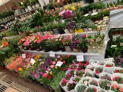 -秦美花卉(天朗·莱茵小城2期店)