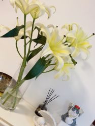 -美肤盾祛痘·问题肌头疗管理中心