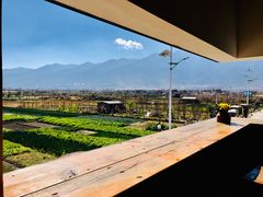 -翠田Green Field Kitchen
