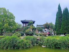 -徐州龟山景区