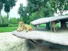 -北京野生动物园