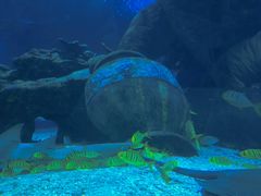 -太平洋海底世界