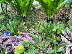 -国家植物园南园