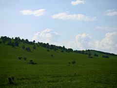 -塞罕坝国家级自然保护区