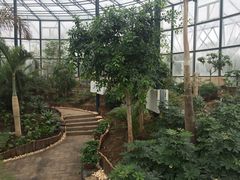 -武清南湖绿博园