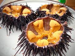活海胆-海胆小馆(春柳店)
