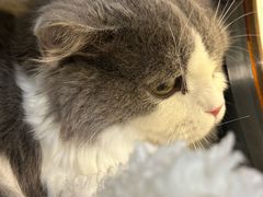 -达爱动物医院·犬猫分区·CT·复杂眼科(远洋山水分院)