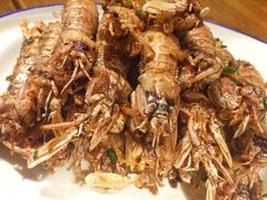 -老宁波1381餐厅(宏泰广场店)