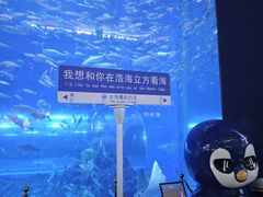 -成都浩海立方海洋公园