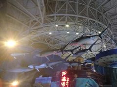 -烟台海昌鲸鲨海洋公园