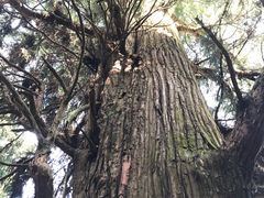 -云中大漈