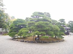 -京都御所