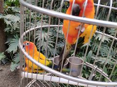 -南宫五洲植物乐园