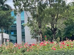 -顺德职业技术大学