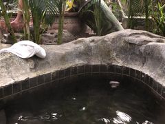 -龙达温泉生态城