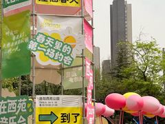 -西苑公园