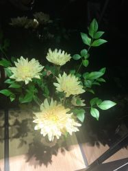 点击看大图 -美壹生皮肤管理中心