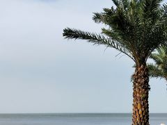 -野狸岛