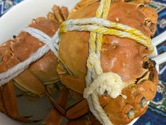 -黄记大闸蟹专卖店·活蟹·醉蟹