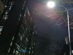 -中央民族大学