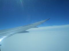 -全日本空输株式会社(上海办事处)