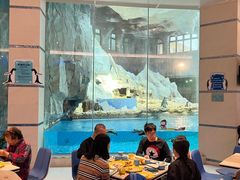 -帝企鹅自助餐厅•儿童岛•真企鹅(长隆企鹅酒店)