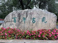 -龙沙公园