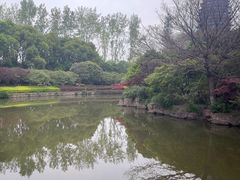 -红梅公园