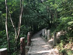 -上海佘山国家森林公园西佘山园