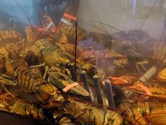 -RED LOBSTER(中城西店)