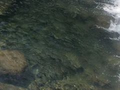 -宁波五龙潭景区