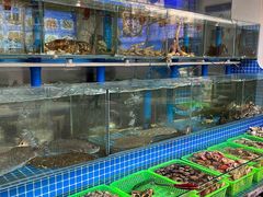 水产区-富临港·蒸汽海鲜·手抓海鲜·炒菜(栈桥店)