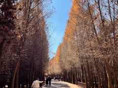 -捞渔河湿地公园