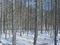 -光雾山旅游景区