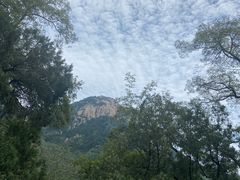 -泰山风景名胜区