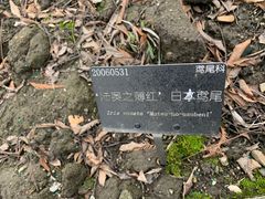 -上海辰山植物园