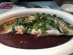 -阿五黄河大鲤鱼(英协路店)