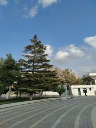-北京科学中心儿童乐园