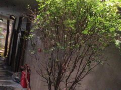 -森SPA·泰式按摩·精油Massage(宝安中心店)