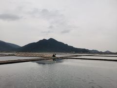 -花岙岛