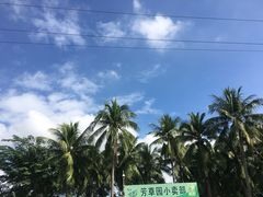 -万绿园