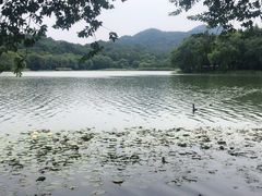 -茅家埠