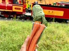 -将军关探险漂流