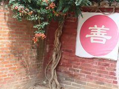 -九龙池景区