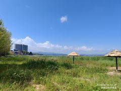 -观澜小洱海