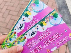 -荷兰花海